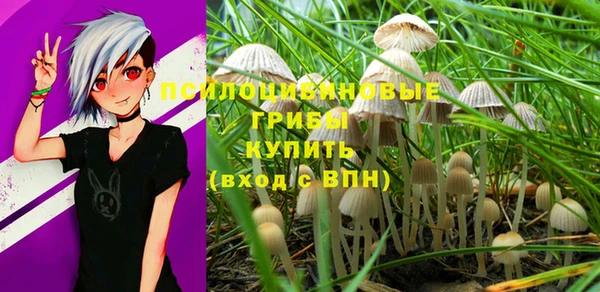 мяу мяу мука Нефтекумск