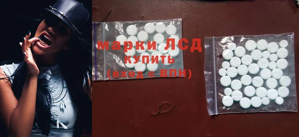 ГАЛЛЮЦИНОГЕННЫЕ ГРИБЫ Бородино