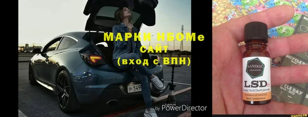 ГАЛЛЮЦИНОГЕННЫЕ ГРИБЫ Бородино