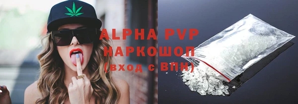 ГАЛЛЮЦИНОГЕННЫЕ ГРИБЫ Бородино
