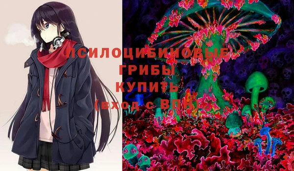 дмт Верея